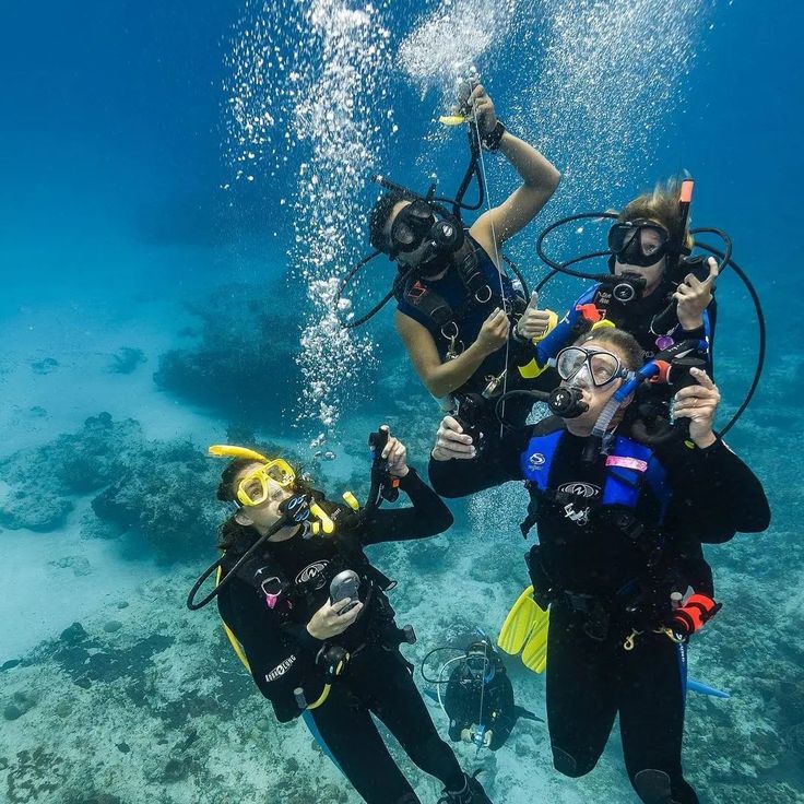 Conscious Snorkelers Browsing Coastal Nursery Frameworks